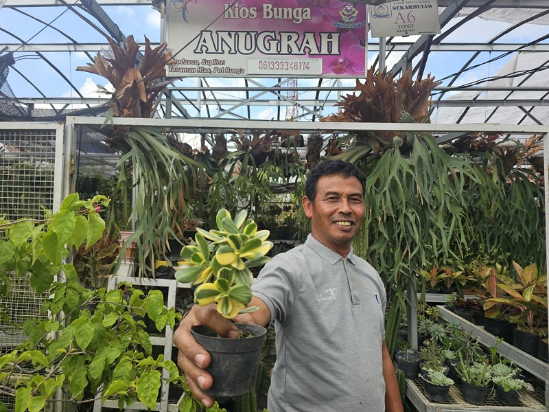 Kisah Klaster Tanaman Hias Binaan BRI, Kini Jadi Mata Pencaharian Warga