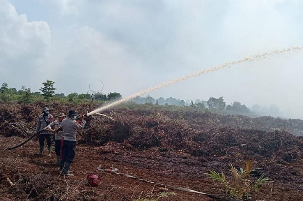 Kebakaran Lahan Gambut Muarojambi Meluas Capai 264 Hektare, Api Belum Padam!