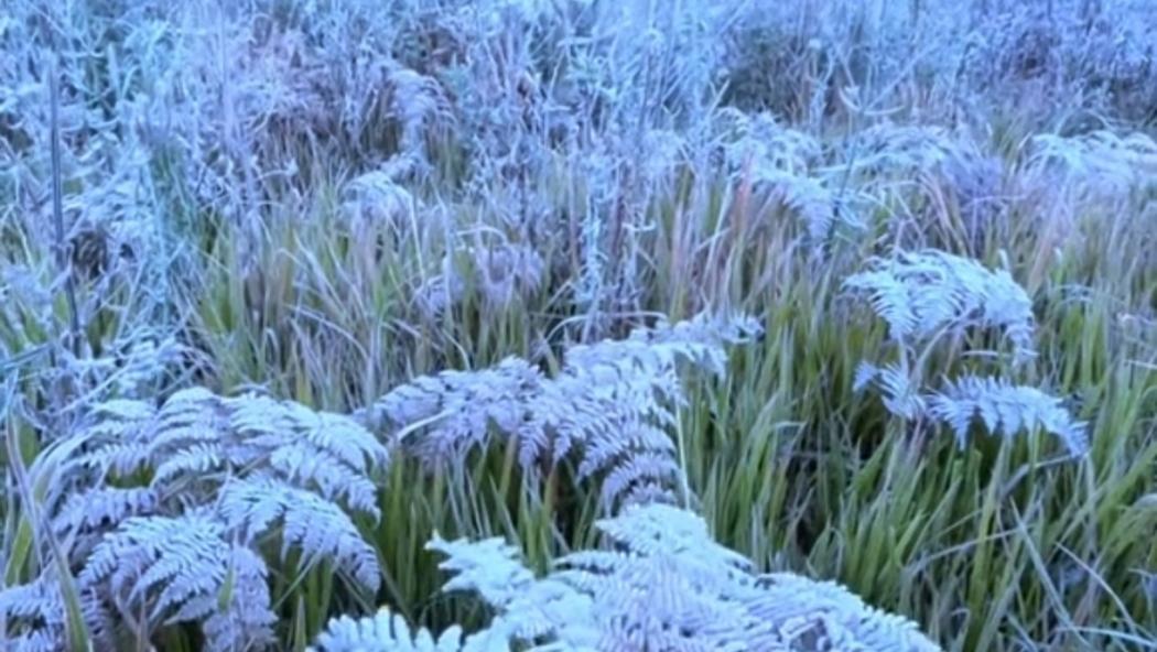 Suhu Udara Gunung Bromo Menyentuh 0 Derajat, Salju Bermunculan di Beberapa Lokasi 