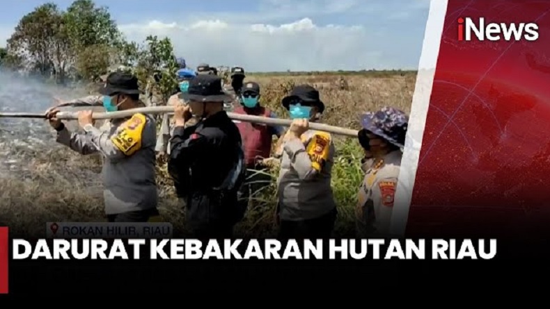 Kebakaran Meluas, Riau Darurat Karhutla