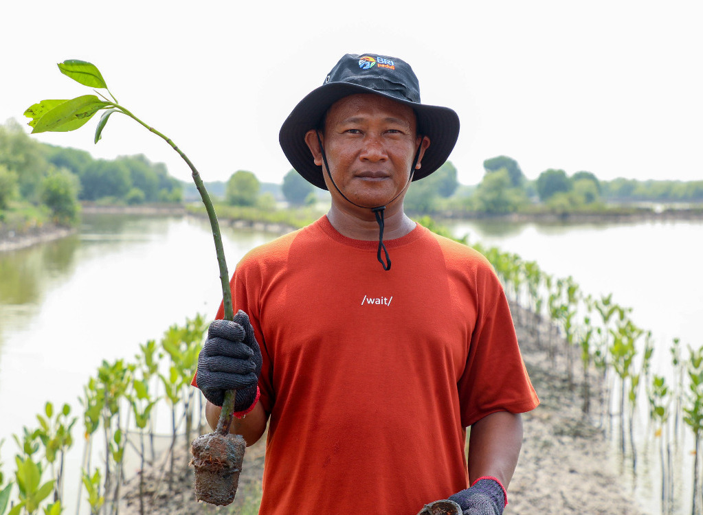 Tanam 10.000 Pohon Mangrove di Muara Gembong, BRI Gandeng Kelompok Tani Setempat 