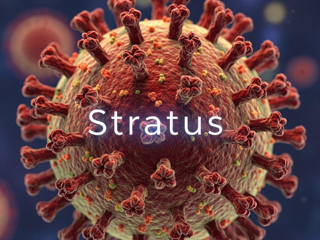 Virus Covid-19 Baru Bernama Stratus Serang Indonesia, Bahaya? 