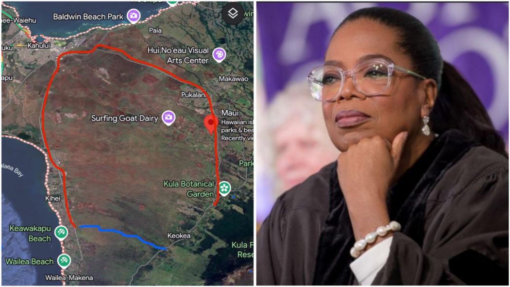 Viral Oprah Winfrey Diserang Netizen saat Hawaii Siaga Tsunami, Ini Faktanya!
