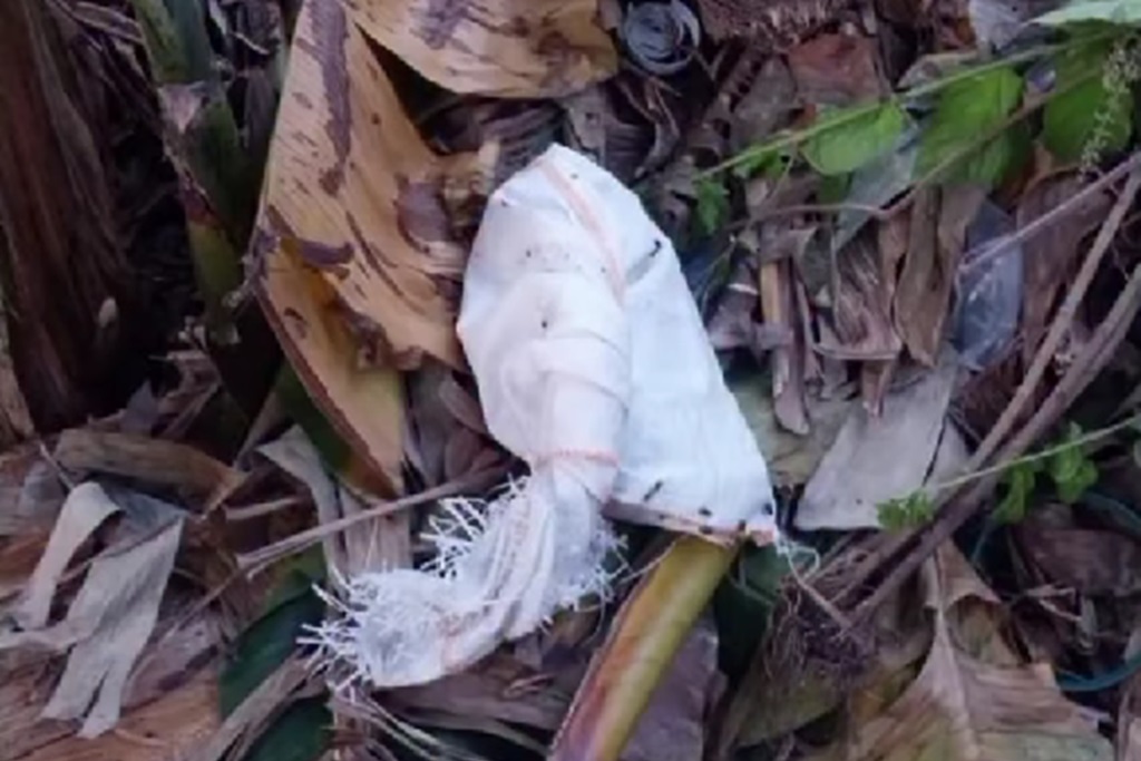 Geger! Mayat Bayi Terbungkus Karung Ditemukan di Lubang Buaya Jaktim