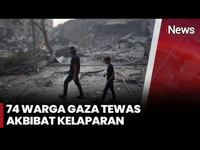 Krisis Gaza Memuncak: 74 Tewas karena Kelaparan, Bantuan Ditembaki
