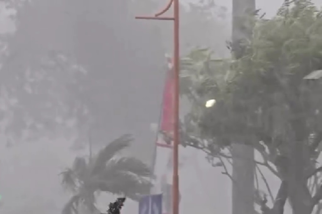 Hujan Angin Terjang BSD: Pepohonan Bergoyang Hebat, Jarak Pandang Terbatas