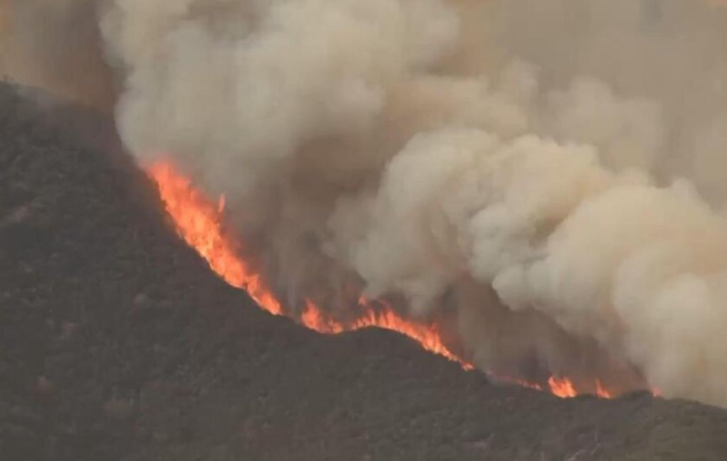 Api Mengamuk Lagi di California, Lahap 26.300 Hektare Lahan Baru Terkendali 3%