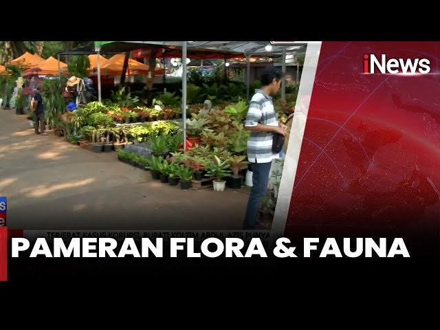 Ribuan Warga Padati Pameran Flona 2025 di Lapangan Banteng