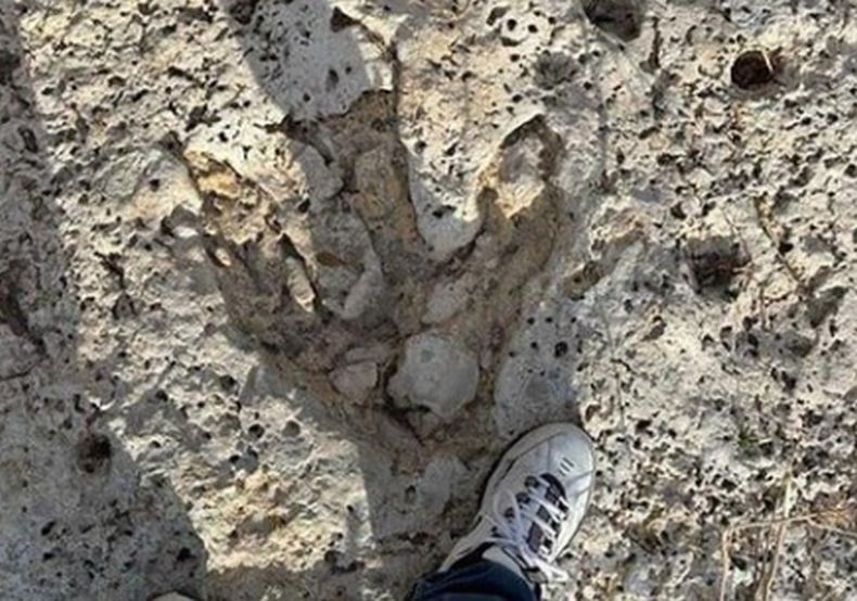 Usai Banjir Bandang Tewaskan 135 Orang di Texas AS Muncul Jejak Kaki Dinosaurus