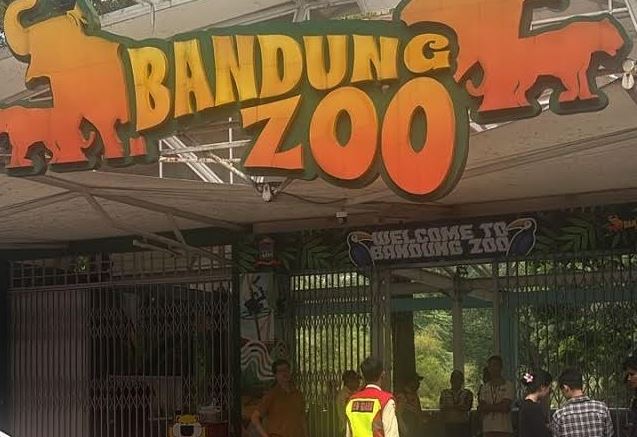 YMT Pertanyakan Transparansi Pengelolaan Bandung Zoo hingga Tak Mampu Rawat Satwa