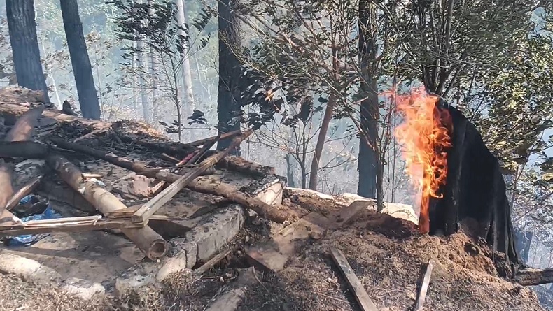 Cegah Karhutla, BMKG Intensifkan Operasi Modifikasi Cuaca di Riau