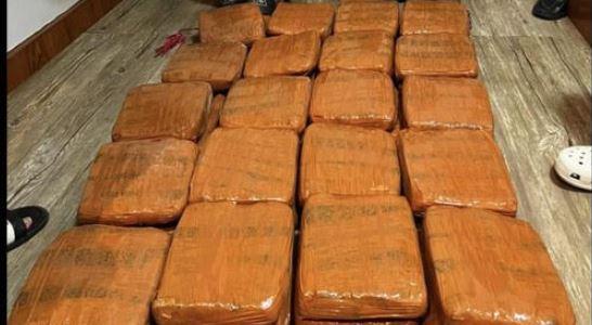 Polda Lampung Gagalkan Penyelundupan Ganja 40 Kg asal Padang, 1 Orang Ditangkap