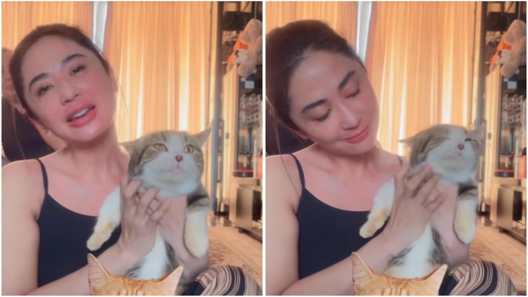Dewi Perssik Rawat Kucing Eko Patrio, Banjir Pujian