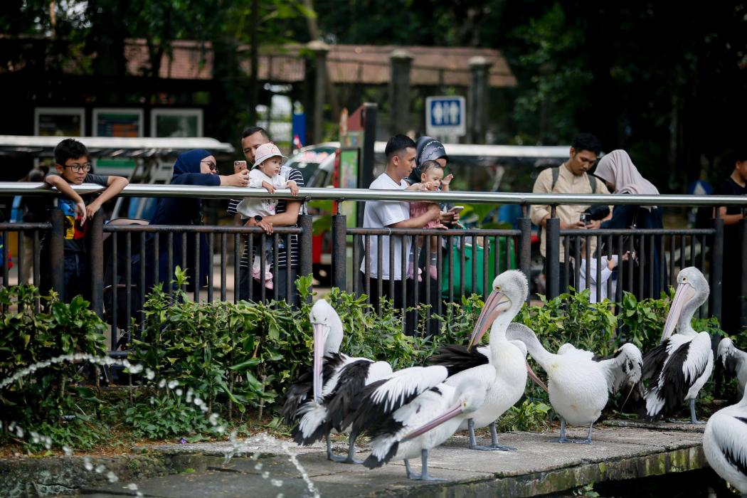 Ragunan Buka Sampai Malam, Satpol PP Peringatkan Jangan Berbuat yang Tak Pantas