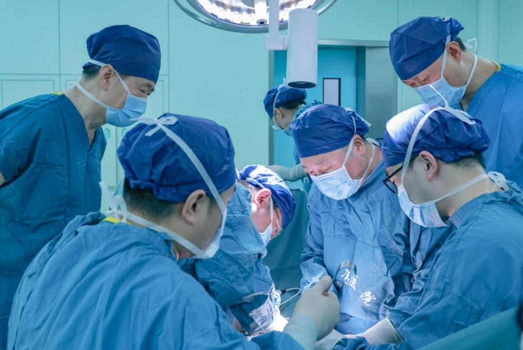 Pertama di Dunia! China Sukses Transplantasi Paru-Paru Babi ke Manusia