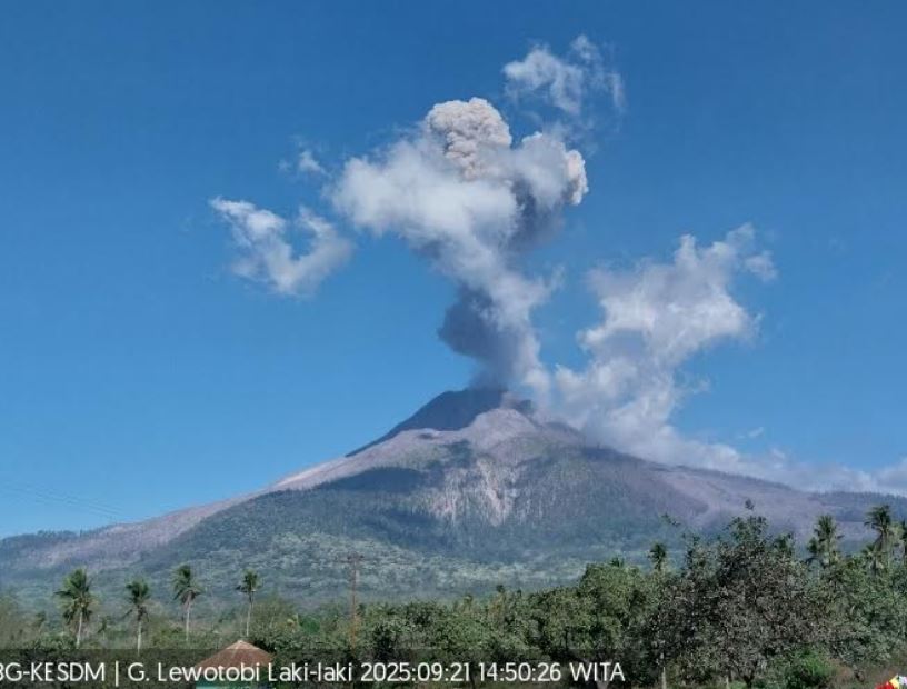 Gunung Lewotobi Laki-laki Meletus Dahsyat Hari Ini, Kolom Abu 2.000 Meter