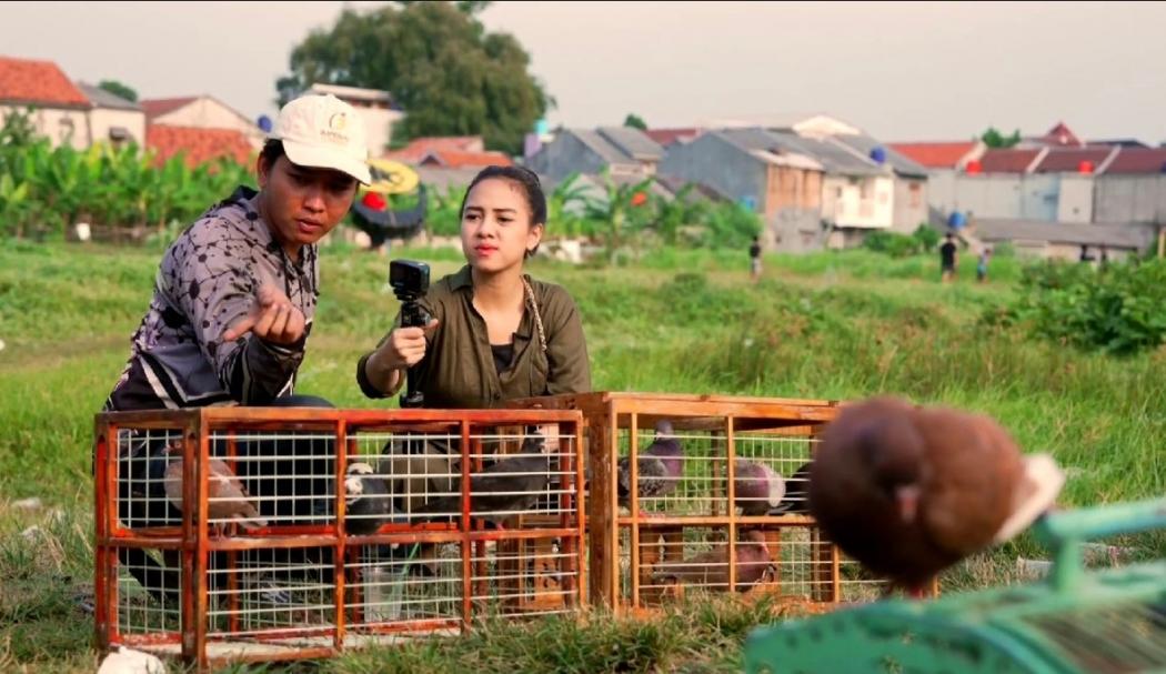 Gagal Fokus! Azia Riza Gombali Pelatih saat Nerbangin Merpati