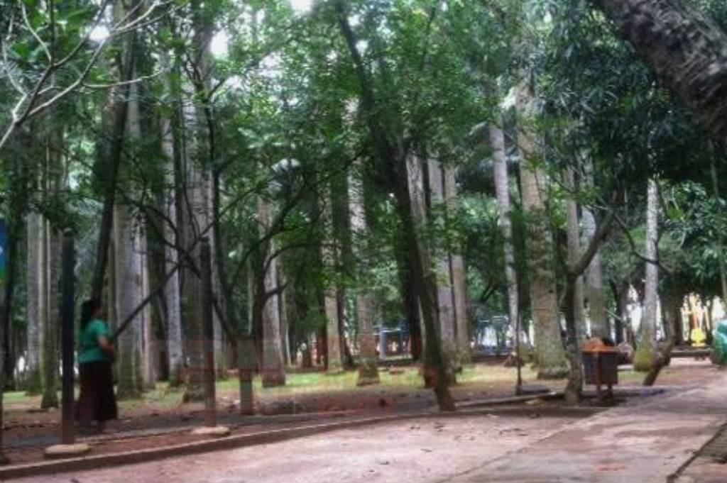 5 Tempat Lari Malam di Tangerang Selatan, Cocok Buat Lepas Penat Setelah Kerja!