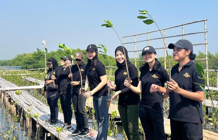 Yayasan Miss Indonesia Tanam Mangrove Demi Masa Depan Lebih Hijau di Kawasan Angke