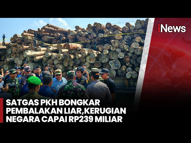 Kayu Hasil Pembalakan Liar Mentawai Senilai Rp230 Miliar Disita di Gresik, Hutan 730 Hektare Nyaris Ludes