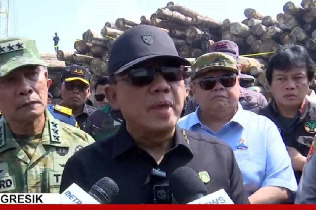 Satgas PKH Sita 4.610 Meter Kubik Kayu Hasil Illegal Logging, Kerugian Negara Rp230 Miliar