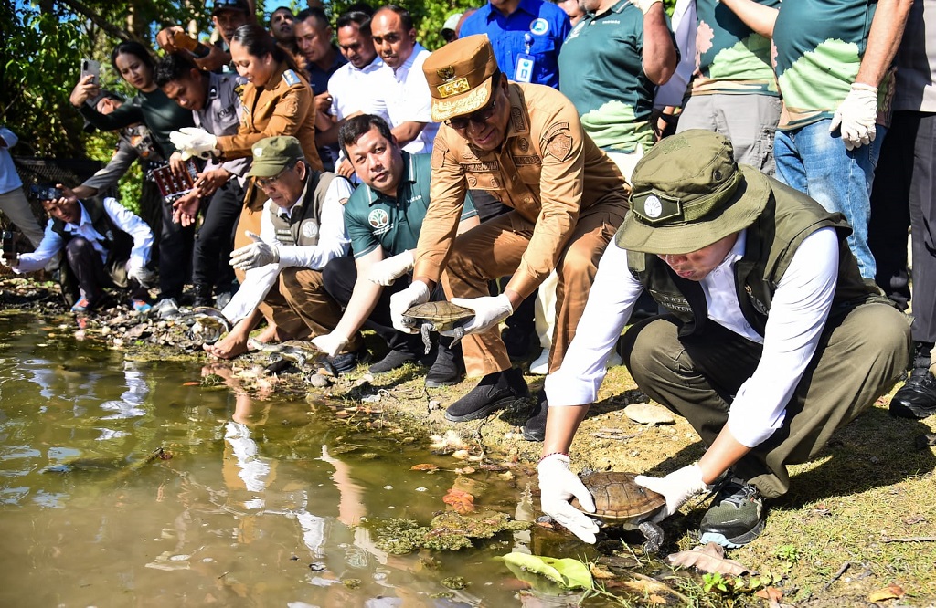 Terancam Punah, 20 Kura-Kura Leher Ular Rote Dilepas Liar di Danau Ledulu NTT