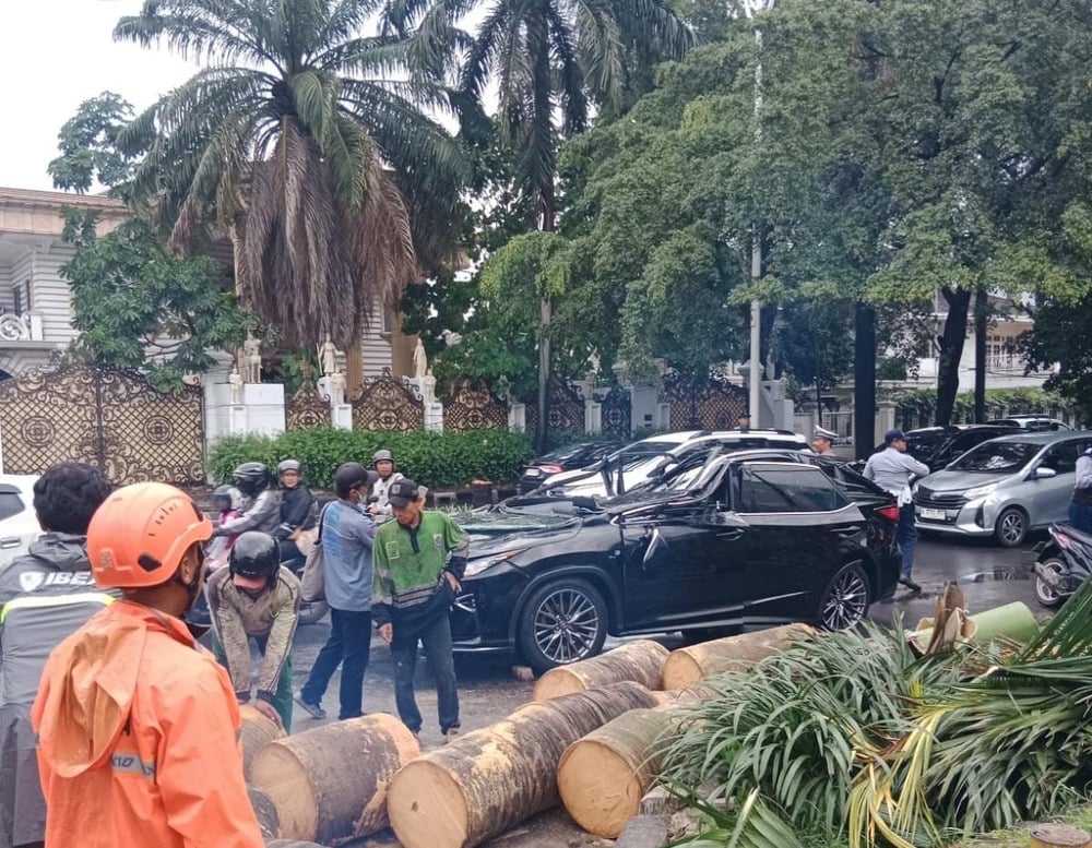 Pohon Tumbang Timpa Mobil Lexus di Pondok Indah, 1 Orang Tewas