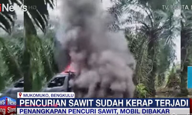 Geram, Warga Bakar Mobil Residivis Pencuri Sawit di Mukomuko