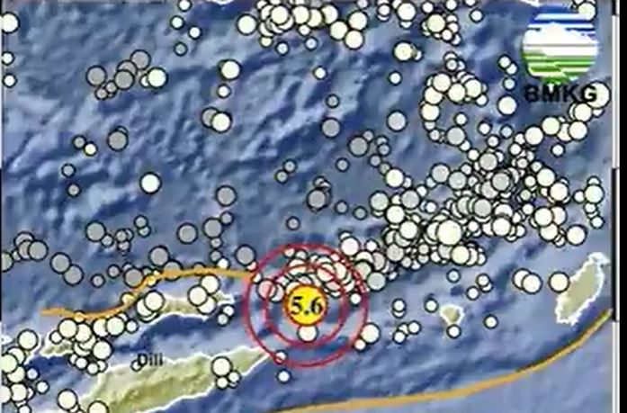 Gempa Terkini M 5,6 Guncang Maluku Barat Daya, Tidak Berpotensi Tsunami