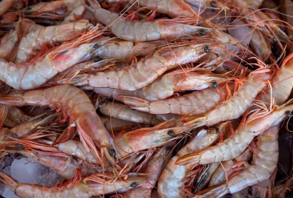 AS Retur 152,32 Ton Udang asal RI, gegara Tercemar Radioaktif?