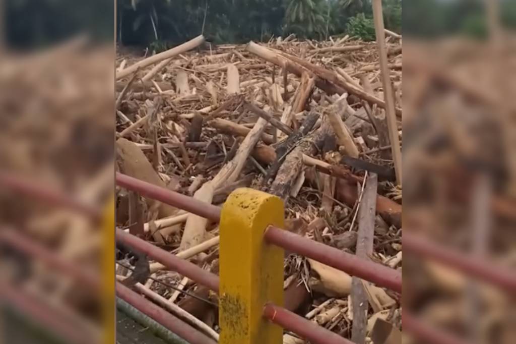 Penjelasan Kemenhut soal Viral Video Kayu Gelondongan Terseret Banjir di Sumut