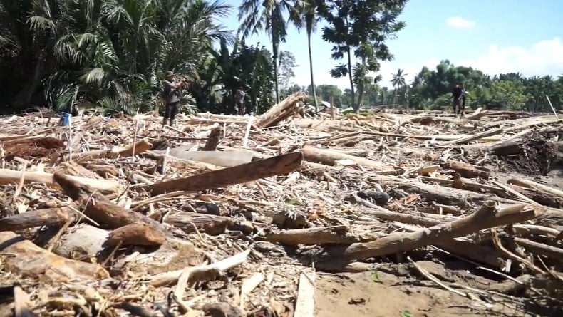 Satgas PKH Diterjunkan Usut Kayu Gelondongan yang Terseret Banjir Sumatera 