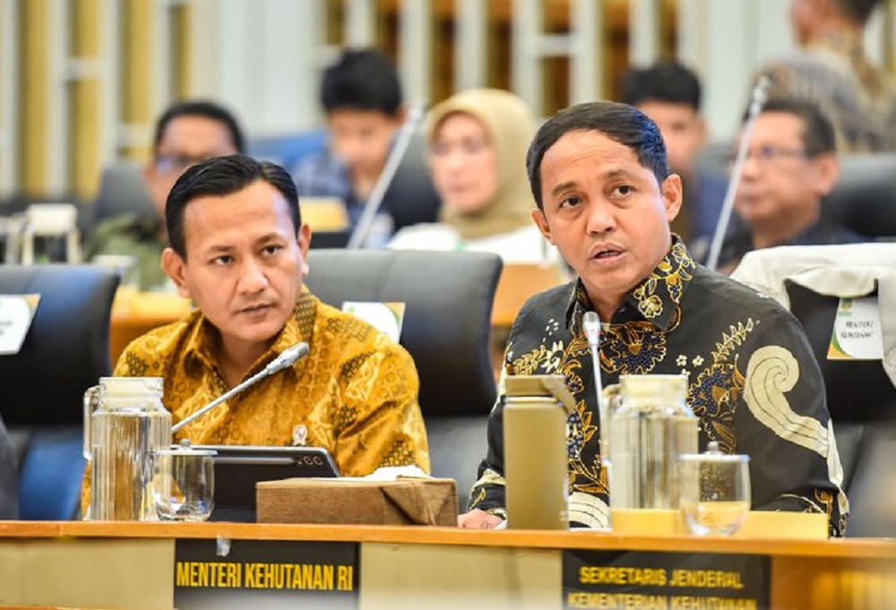 Menhut Raja Juli bakal Cabut Izin Pemanfaatan Hutan 20 Perusahaan, Luasnya 750.000 Hektare