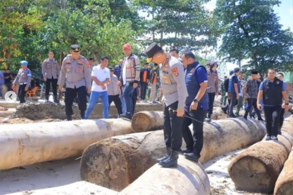 Kapolda Lampung Turun Langsung Cek Ribuan Kayu Gelondongan Terdampar di Pesisir Barat