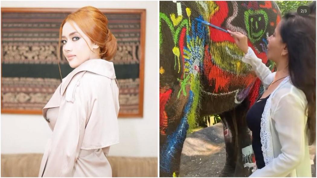 Miss Earth 2019 Lirabica Murka Gajah di Mason Elephant Park and Lodge Bali Dicoret-coret Cat!