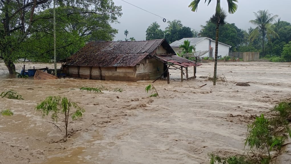 Dampak Banjir dan Longsor Sumatra: 139.485 Rumah Rusak, Terbanyak di Aceh