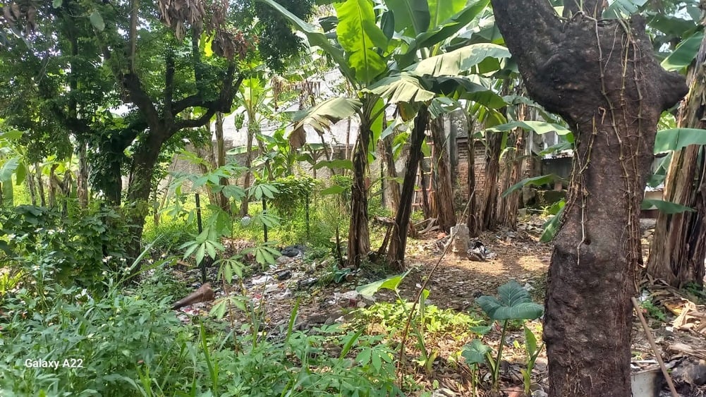 Kejagung Lelang Aset Rampasan Pembobol Bank BUMD Andi Winarto, Laku Rp5,4 Miliar