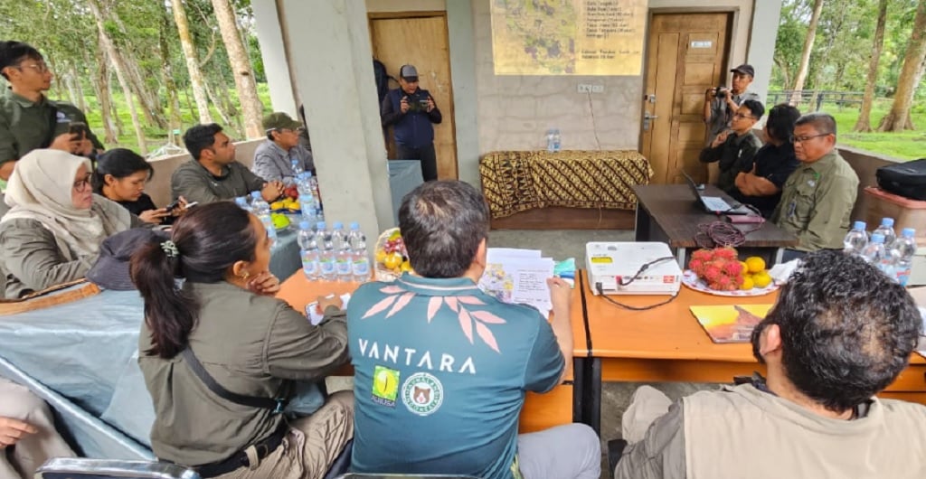 Kemenhut Gandeng India untuk Cegah Kematian Gajah Sumatra Akibat EEHV