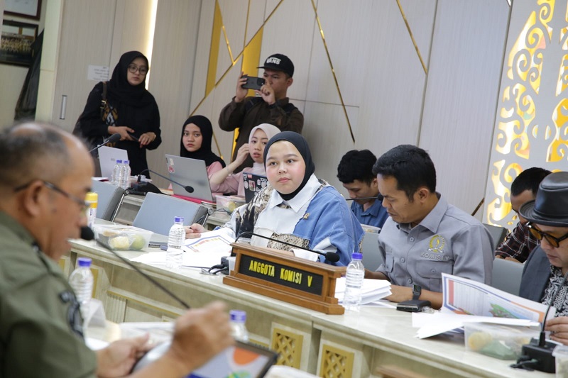 Komisi V Dorong BPDB Tanggap Kesiapsiagaan Bencana di Jabar