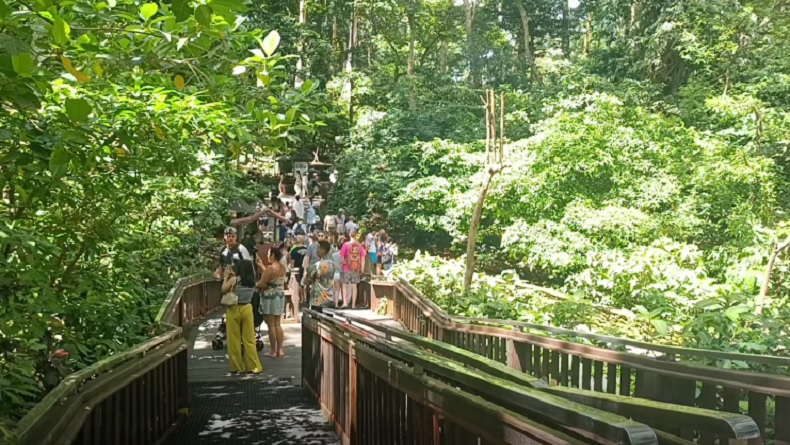 Libur Nataru, Monkey Forest Bali Ramai Dikunjungi Wisatawan Domestik hingga Mancanegara