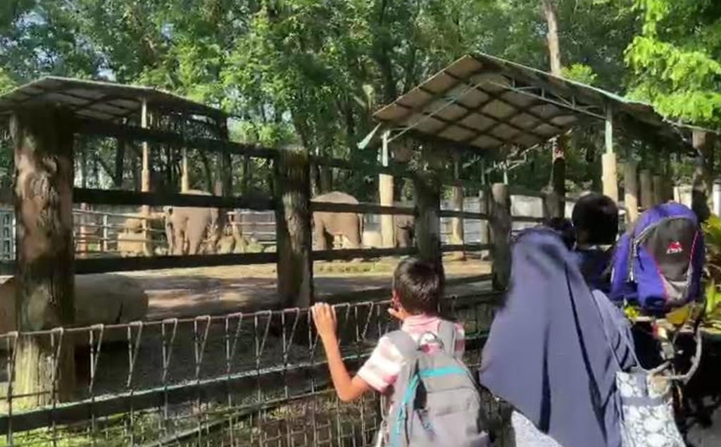 Taman Margasatwa Ragunan Tambah Jam Operasional saat Libur Nataru