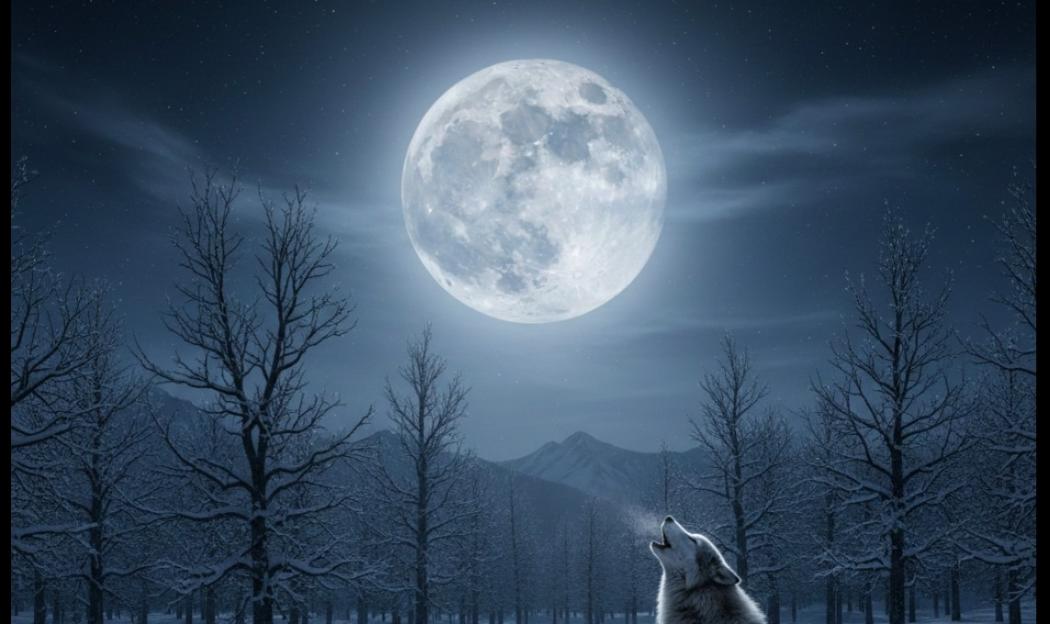 Keajaiban Alam, Fenomena Wolf Moon Bakal Hiasi Langit Indonesia 3 Januari 2026