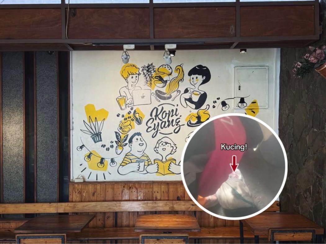 Jahat! Kopi Eyang Bungkus Kucing dalam Karung dan Dibuang Hidup-Hidup ke Tong Sampah