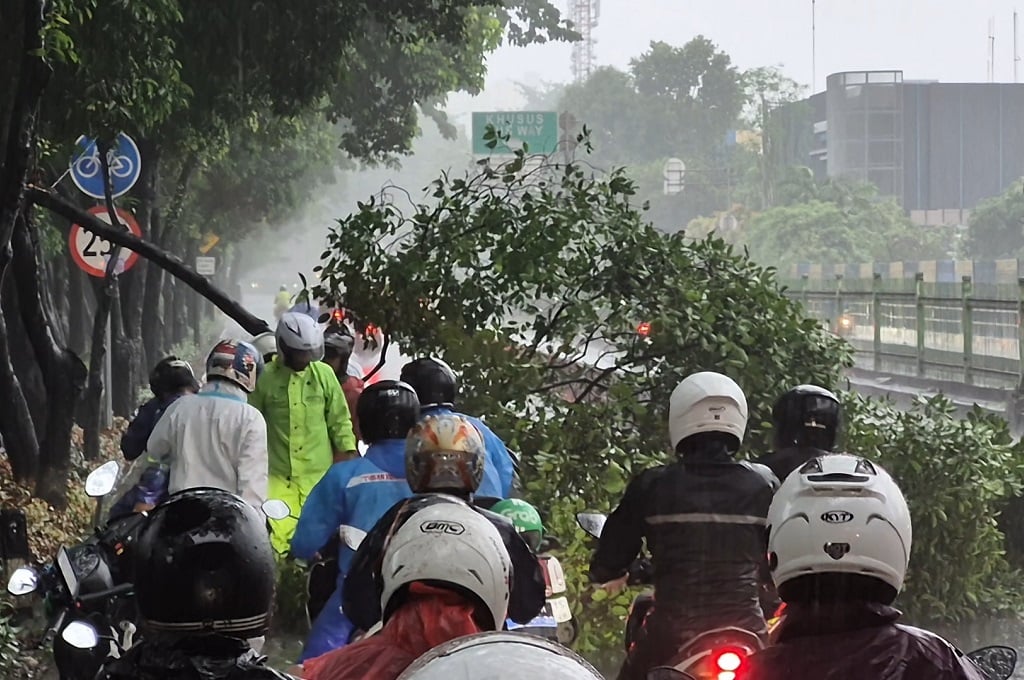 Hujan Deras, Pohon Tumbang hingga Tutup Jalan Galunggung Jaksel