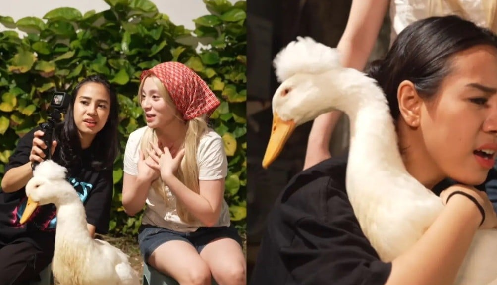 Dari Sok Jago Jadi Salah Tingkah saat Azia Rawat Bebek