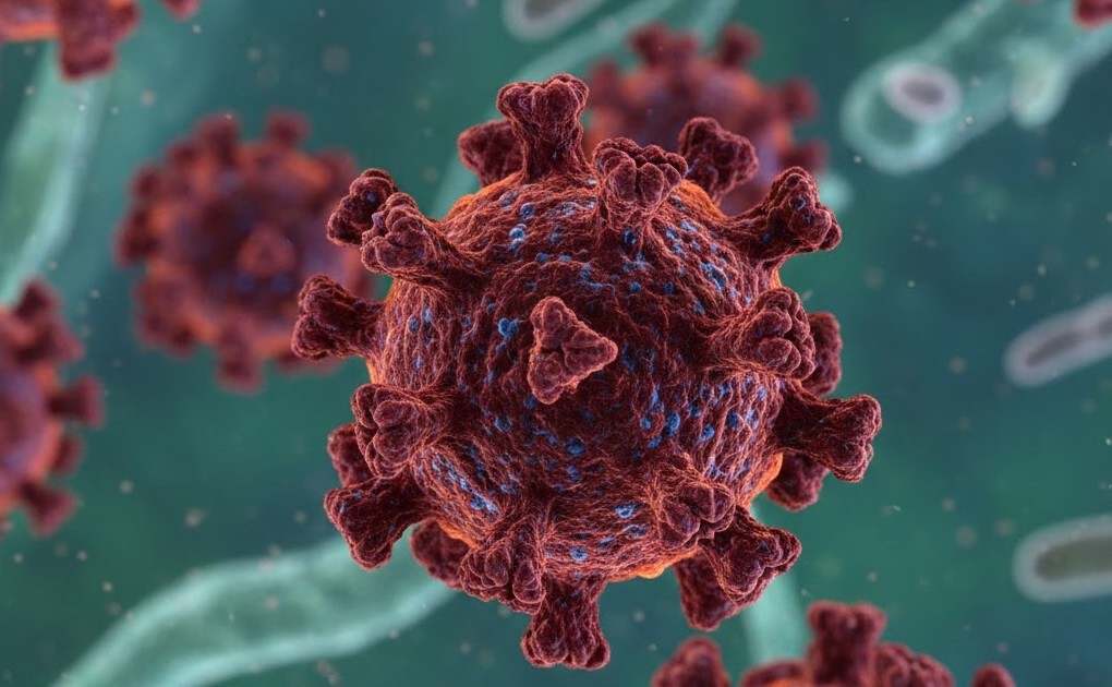 Seberapa Bahaya Dampak Virus Nipah bagi Manusia? Begini Cara Penularannya