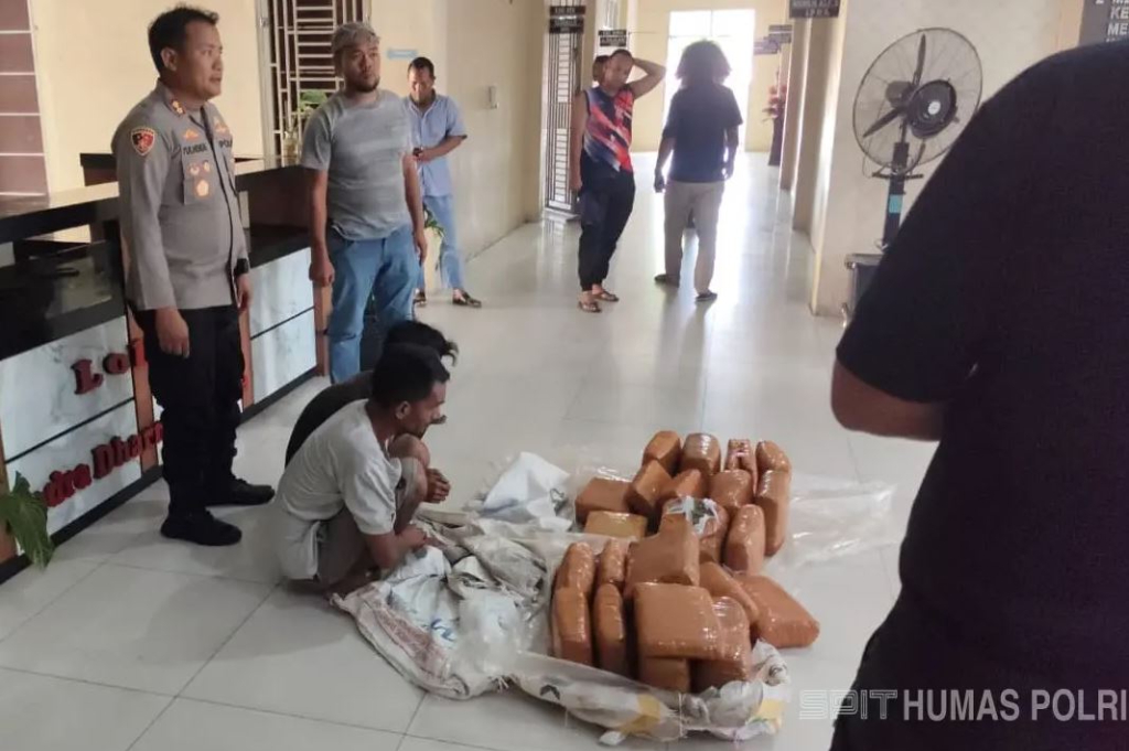 Polisi Gagalkan Penyelundupan Ganja 50 Kg di Tengah Pemulihan Pascabencana Aceh Tenggara