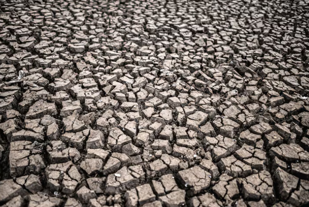 Bondowoso Jatim Dilanda Kekeringan, 149 KK Terdampak