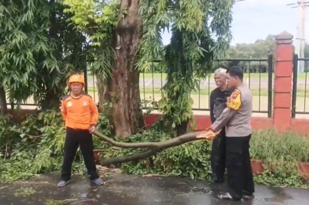 Pohon Tumbang Timpa Pemotor di Semarang, Ibu Tewas dan 2 Balita Luka