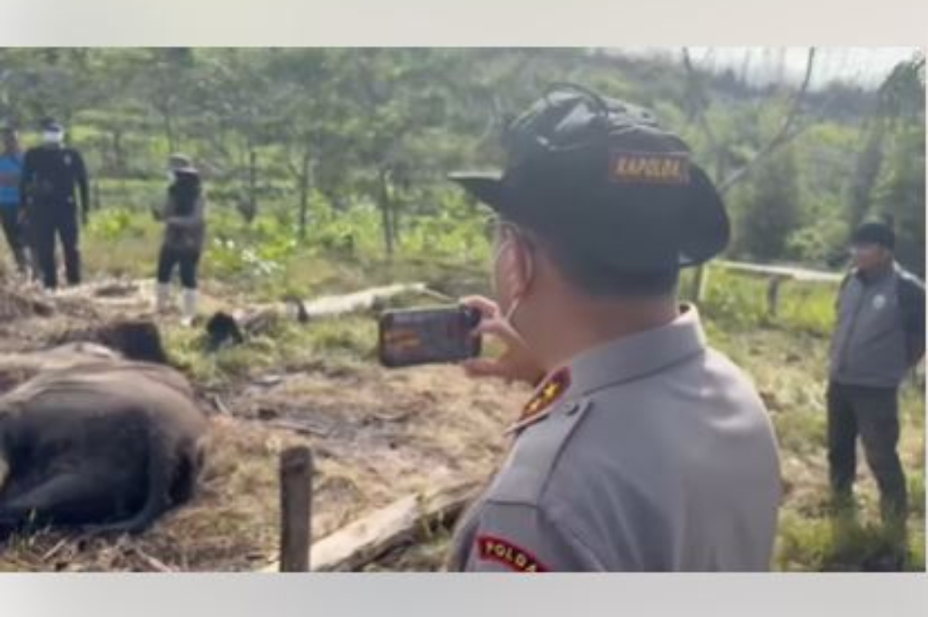 Anak Gajah Mati Kena Jerat di TN Tesso Nilo, Kapolda Riau Turun Tangan